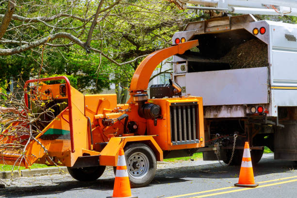 Best Tree Risk Assessment  in Peabody, KS